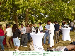 Festival Mar de Tethys 2026 - Bodega Vetas